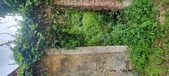 Enlarge photo 269