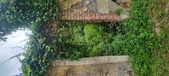 Enlarge photo 270
