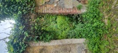 Enlarge photo 271