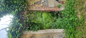 Enlarge photo 272