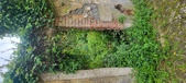 Enlarge photo 273