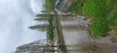 Enlarge photo 318