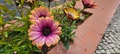 Enlarge photo 340