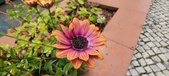 Enlarge photo 342