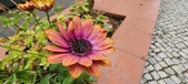 Enlarge photo 343