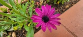 Enlarge photo 352
