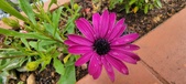 Enlarge photo 353