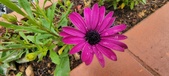 Enlarge photo 354