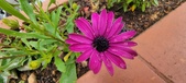 Enlarge photo 356