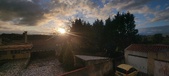 Enlarge photo 381