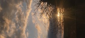 Enlarge photo 410