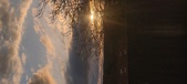 Enlarge photo 411