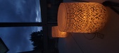 Enlarge photo 441