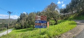 Enlarge photo 481