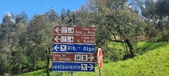 Enlarge photo 478