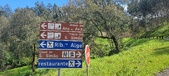 Enlarge photo 479