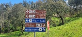 Enlarge photo 482