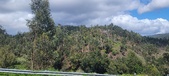 Enlarge photo 483
