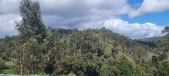 Enlarge photo 484