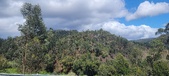 Enlarge photo 485