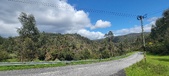 Enlarge photo 487