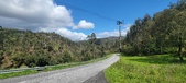 Enlarge photo 488