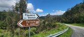 Enlarge photo 490
