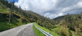 Enlarge photo 22