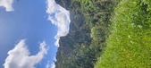 Enlarge photo 35