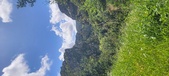 Enlarge photo 37