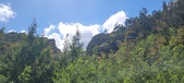 Enlarge photo 40