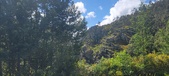Enlarge photo 41