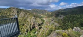Enlarge photo 61