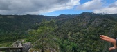 Enlarge photo 99