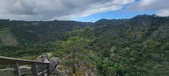 Enlarge photo 103