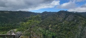 Enlarge photo 105
