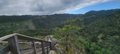 Enlarge photo 109