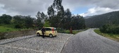 Enlarge photo 114