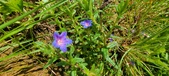 Enlarge photo 126