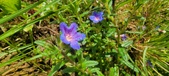 Enlarge photo 127