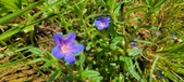 Enlarge photo 128