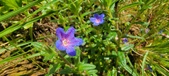 Enlarge photo 129
