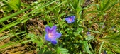 Enlarge photo 130