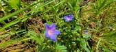 Enlarge photo 131