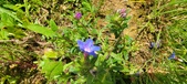 Enlarge photo 132