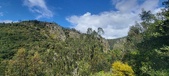 Enlarge photo 133