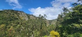 Enlarge photo 134