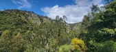 Enlarge photo 135