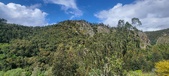 Enlarge photo 136