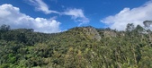 Enlarge photo 137